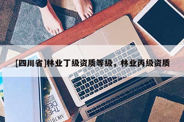 [四川省]林业丁级资质等级，林业丙级资质