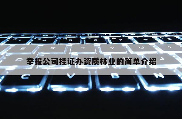 举报公司挂证办资质林业的简单介绍