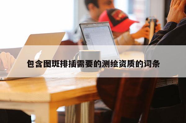 包含图斑排插需要的测绘资质的词条