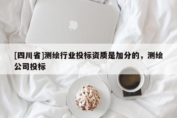 [四川省]测绘行业投标资质是加分的，测绘公司投标