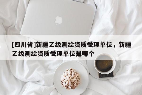 [四川省]新疆乙级测绘资质受理单位，新疆乙级测绘资质受理单位是哪个