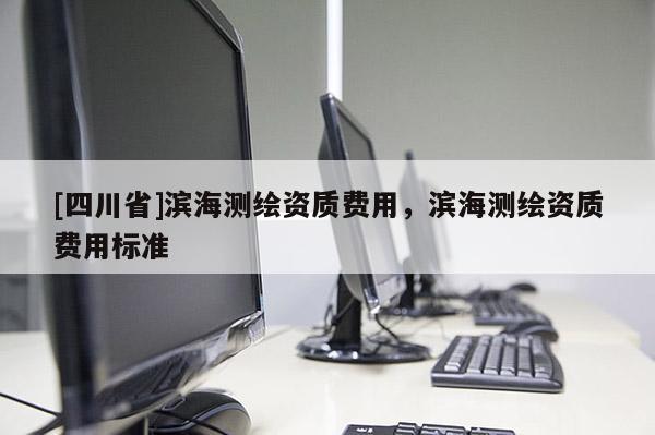 [四川省]滨海测绘资质费用，滨海测绘资质费用标准