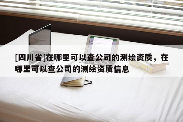 [四川省]在哪里可以查公司的测绘资质，在哪里可以查公司的测绘资质信息