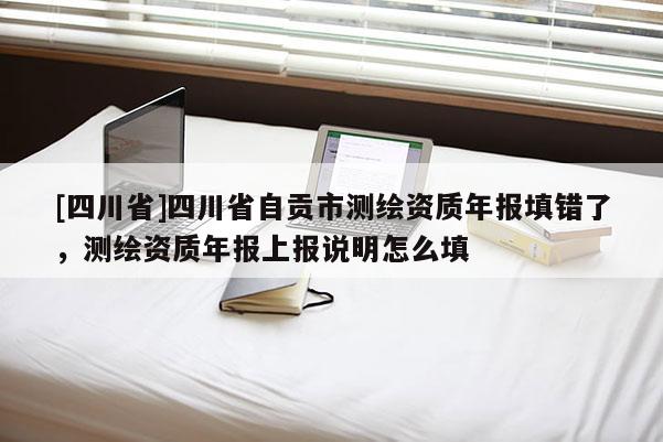 [四川省]四川省自贡市测绘资质年报填错了，测绘资质年报上报说明怎么填