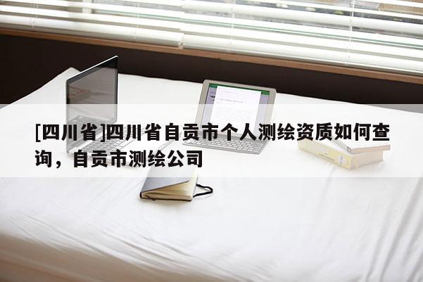 [四川省]四川省自贡市个人测绘资质如何查询，自贡市测绘公司