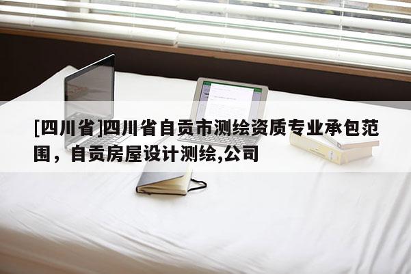 [四川省]四川省自贡市测绘资质专业承包范围，自贡房屋设计测绘,公司