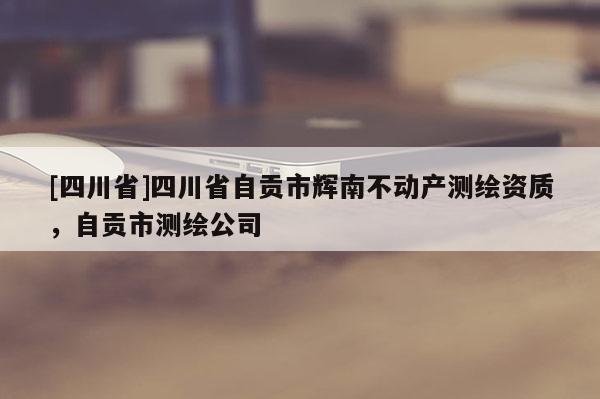 [四川省]四川省自贡市辉南不动产测绘资质，自贡市测绘公司