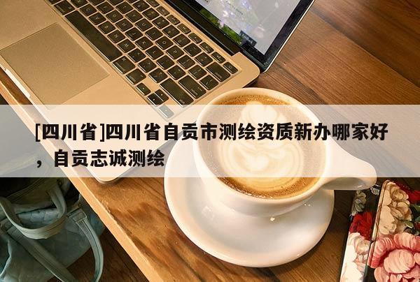 [四川省]四川省自贡市测绘资质新办哪家好，自贡志诚测绘