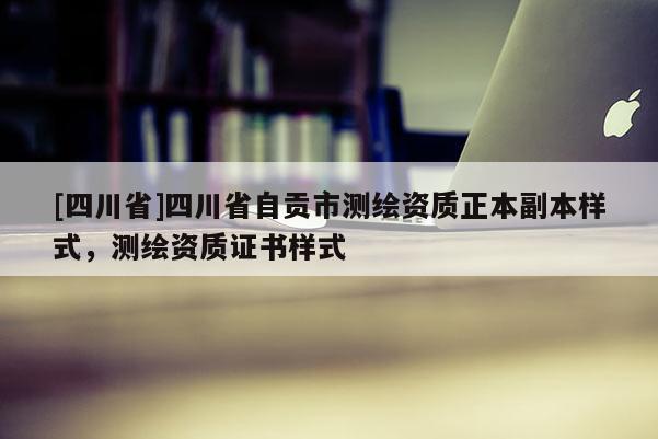 [四川省]四川省自贡市测绘资质正本副本样式，测绘资质证书样式