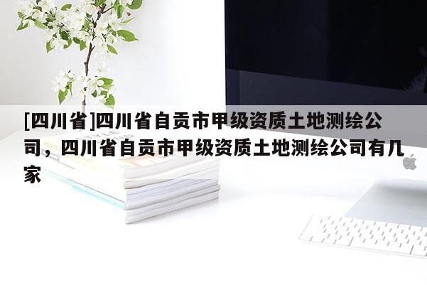 [四川省]四川省自贡市甲级资质土地测绘公司，四川省自贡市甲级资质土地测绘公司有几家