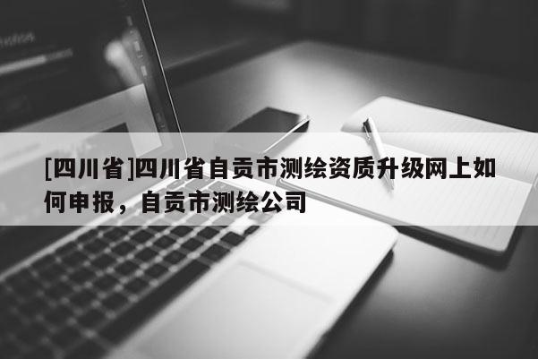 [四川省]四川省自贡市测绘资质升级网上如何申报，自贡市测绘公司