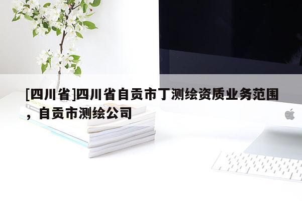 [四川省]四川省自贡市丁测绘资质业务范围，自贡市测绘公司