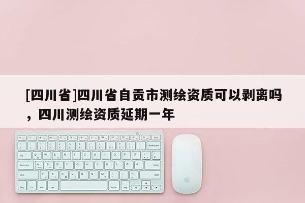 [四川省]四川省自贡市测绘资质可以剥离吗，四川测绘资质延期一年