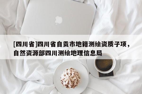 [四川省]四川省自贡市地籍测绘资质子项，自然资源部四川测绘地理信息局