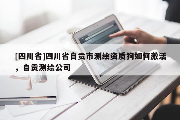 [四川省]四川省自贡市测绘资质狗如何激活，自贡测绘公司