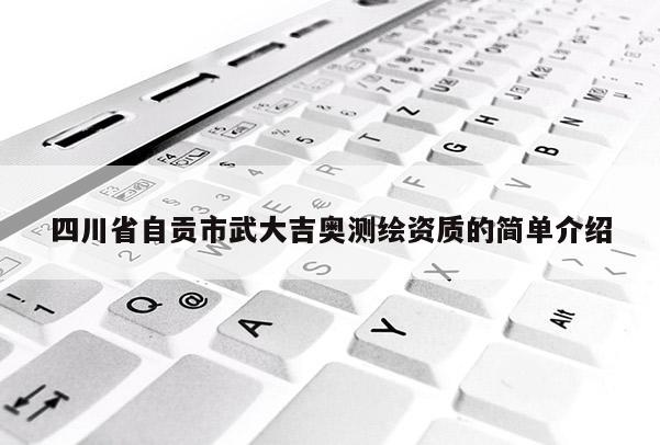 四川省自贡市武大吉奥测绘资质的简单介绍