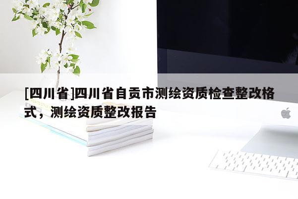 [四川省]四川省自贡市测绘资质检查整改格式，测绘资质整改报告