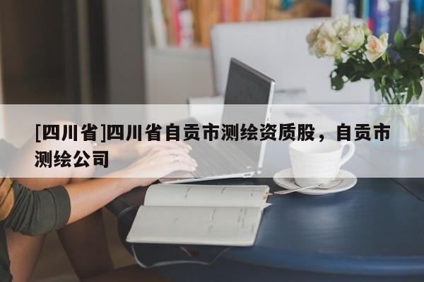 [四川省]四川省自贡市测绘资质股，自贡市测绘公司