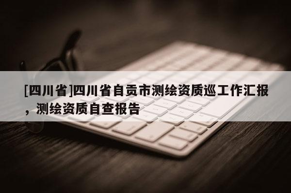 [四川省]四川省自贡市测绘资质巡工作汇报，测绘资质自查报告