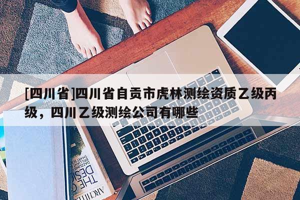 [四川省]四川省自贡市虎林测绘资质乙级丙级，四川乙级测绘公司有哪些