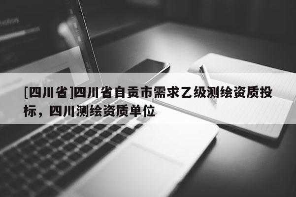 [四川省]四川省自贡市需求乙级测绘资质投标，四川测绘资质单位