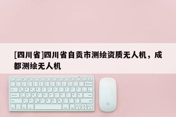 [四川省]四川省自贡市测绘资质无人机，成都测绘无人机