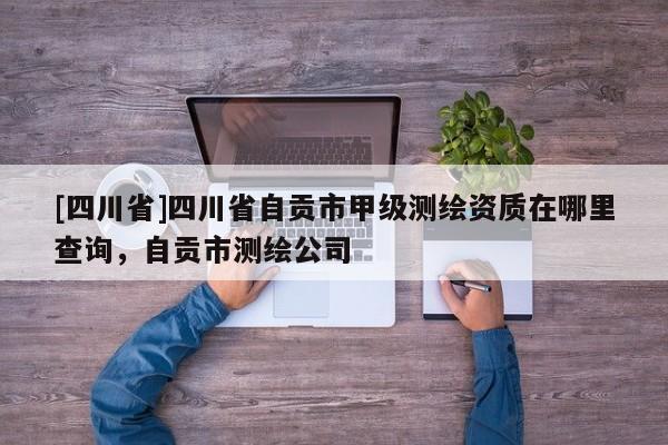 [四川省]四川省自贡市甲级测绘资质在哪里查询，自贡市测绘公司