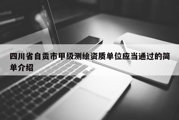 四川省自贡市甲级测绘资质单位应当通过的简单介绍