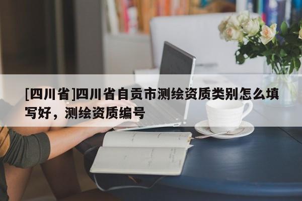 [四川省]四川省自贡市测绘资质类别怎么填写好，测绘资质编号