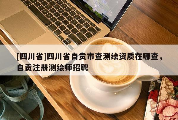 [四川省]四川省自贡市查测绘资质在哪查，自贡注册测绘师招聘