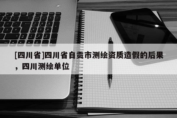 [四川省]四川省自贡市测绘资质造假的后果，四川测绘单位