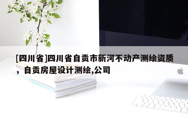 [四川省]四川省自贡市新河不动产测绘资质，自贡房屋设计测绘,公司
