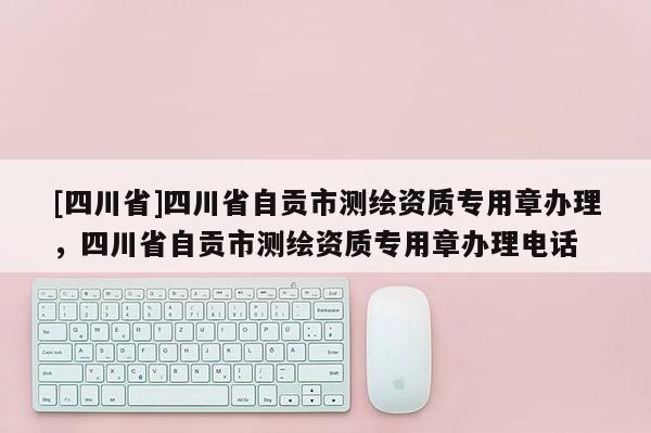 [四川省]四川省自贡市测绘资质专用章办理，四川省自贡市测绘资质专用章办理电话