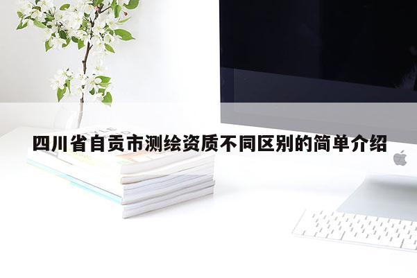 四川省自贡市测绘资质不同区别的简单介绍