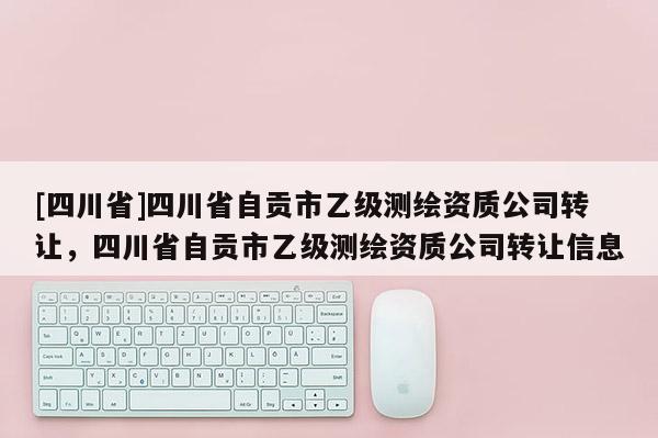 [四川省]四川省自贡市乙级测绘资质公司转让，四川省自贡市乙级测绘资质公司转让信息