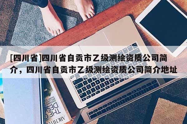 [四川省]四川省自贡市乙级测绘资质公司简介，四川省自贡市乙级测绘资质公司简介地址