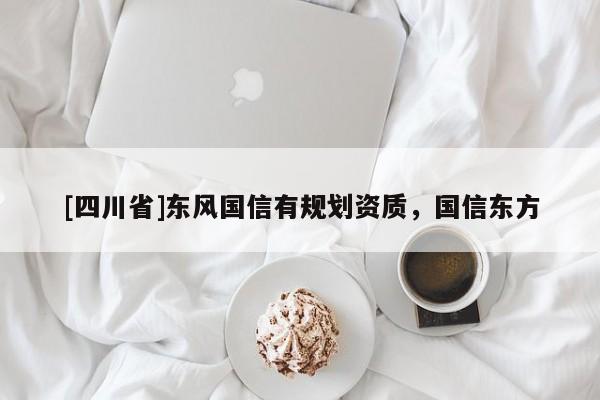 [四川省]东风国信有规划资质，国信东方
